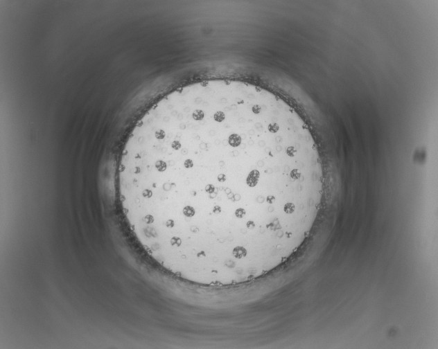 X0000116820022201001291631