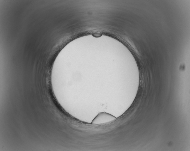 X0000116820023201001291631