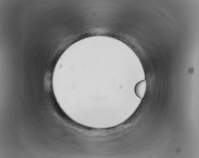 X0000116820024201001291631