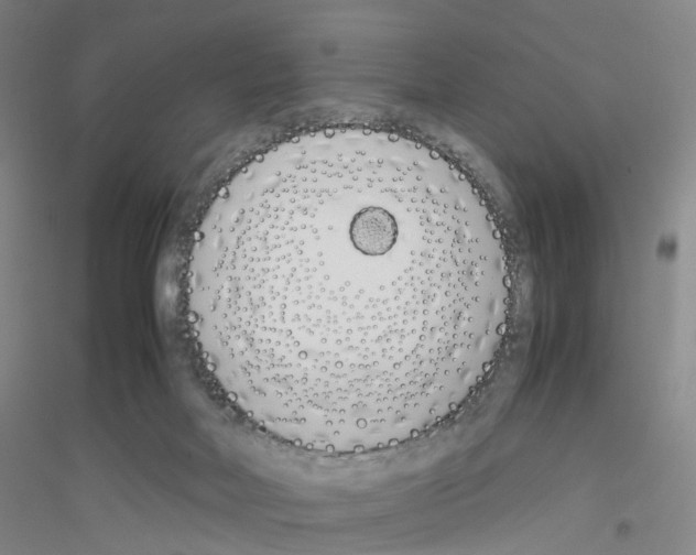 X0000116820026201001291631