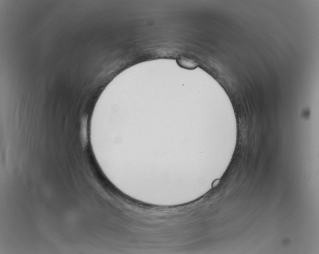 X0000116820028201001291631