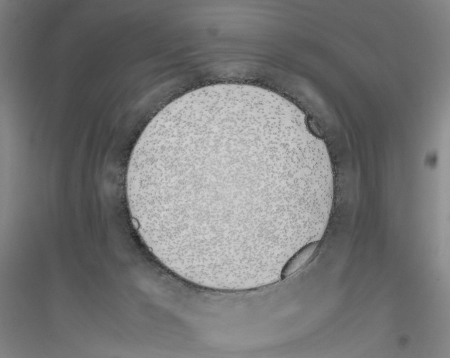 X0000116820029201001291631