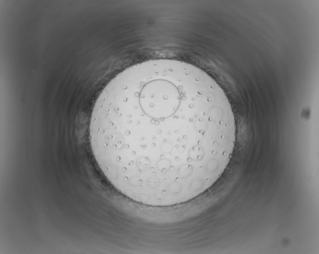 X0000116820030201001291631