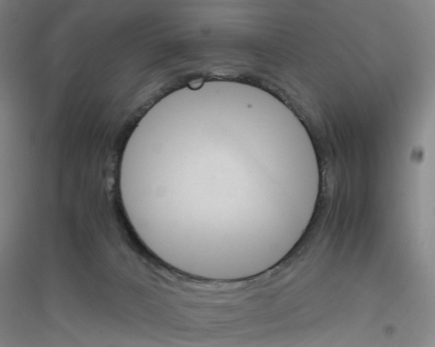 X0000116820032201001291631