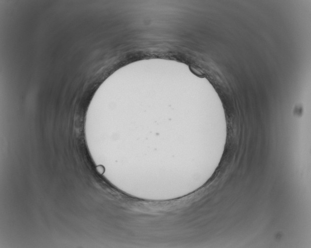 X0000116820033201001291631