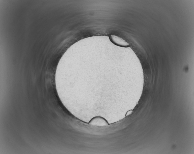 X0000116820035201001291631