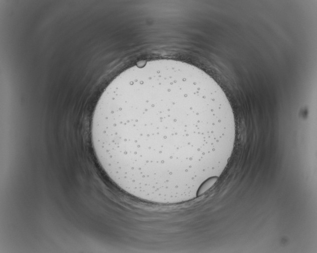 X0000116820036201001291631