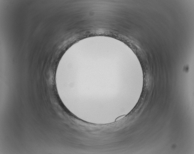 X0000116820039201001291631