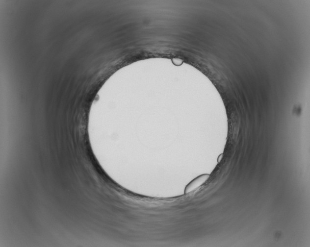 X0000116820040201001291631