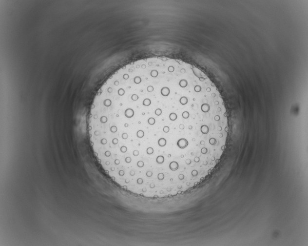 X0000116820042201001291631