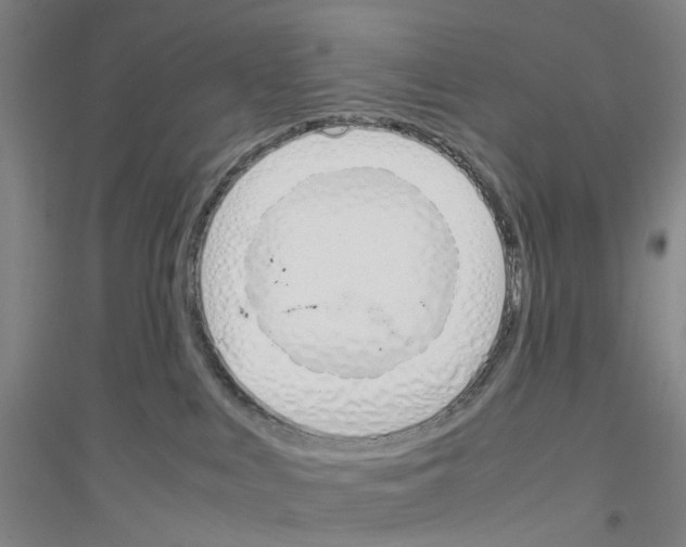 X0000116820043201001291631