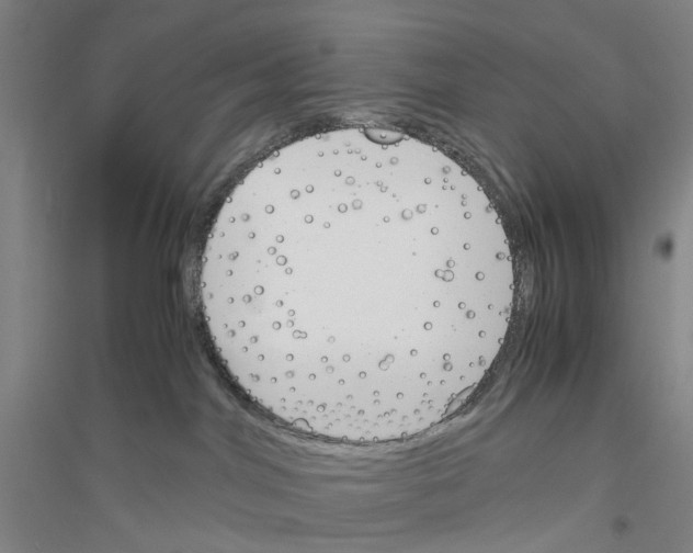 X0000116820044201001291631