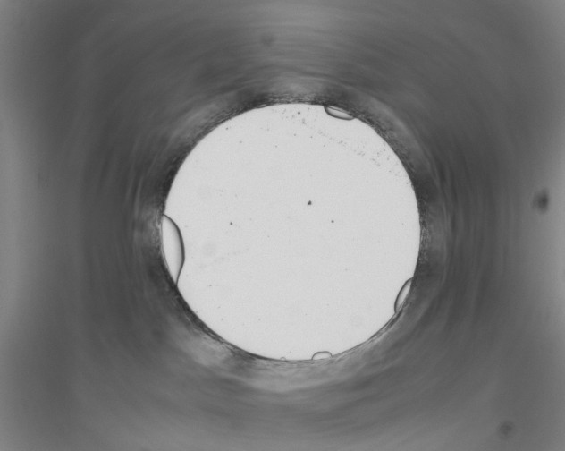 X0000116820045201001291631