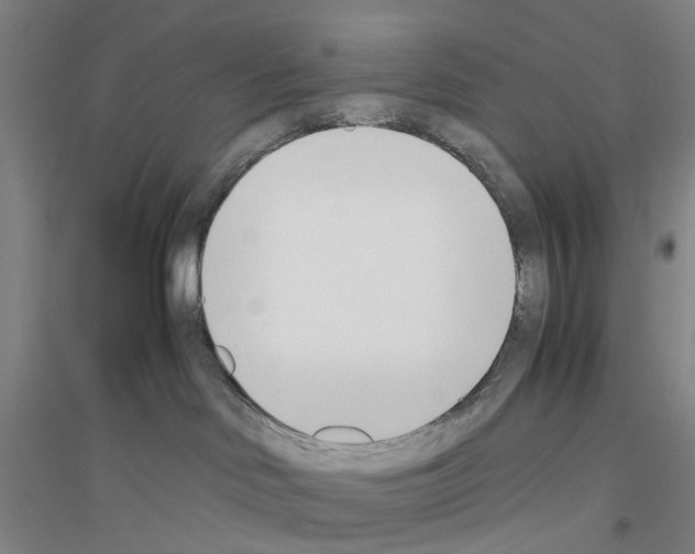 X0000116820046201001291631