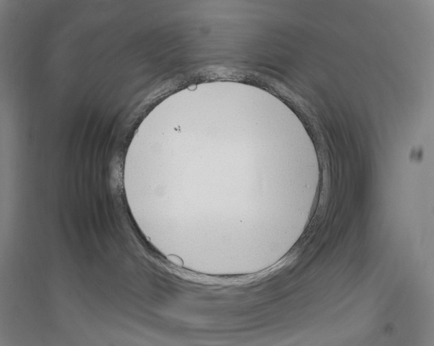 X0000116820048201001291631