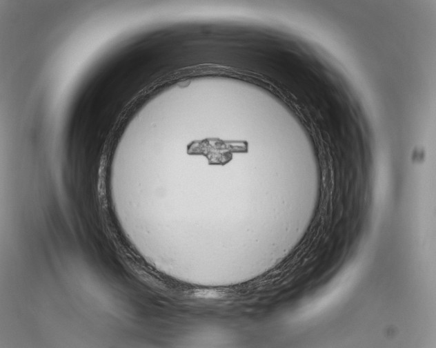 X0000116820050201001291630