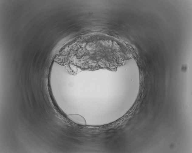 X0000116820051201001291630