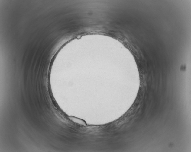 X0000116820052201001291630