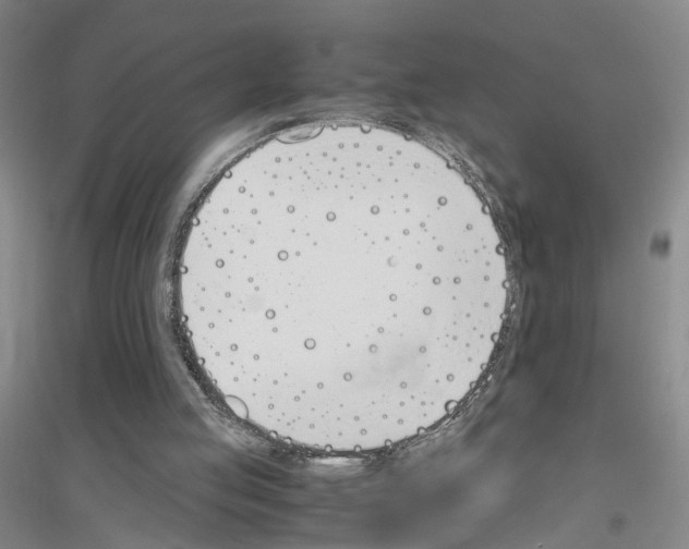 X0000116820053201001291630