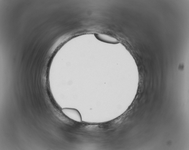 X0000116820054201001291631