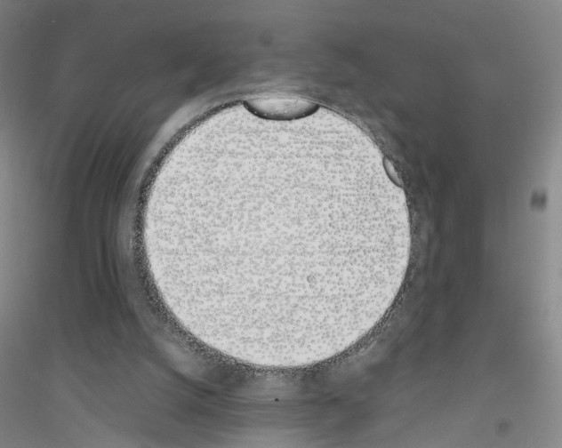 X0000116820056201001291631