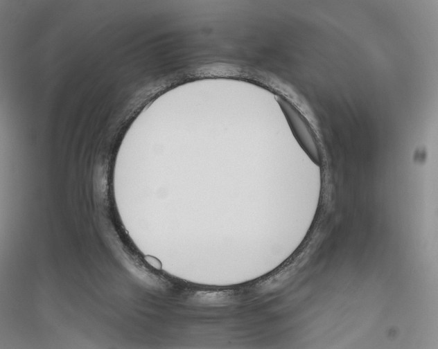 X0000116820057201001291631