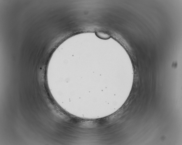 X0000116820058201001291631