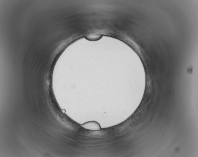 X0000116820059201001291631