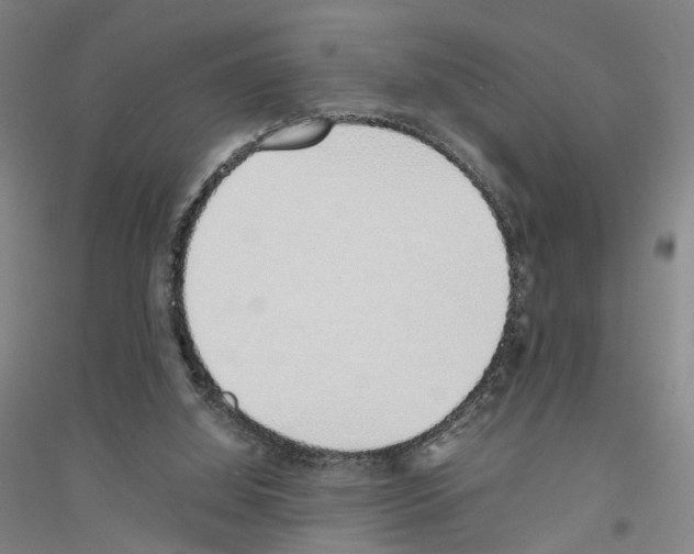 X0000116820060201001291631