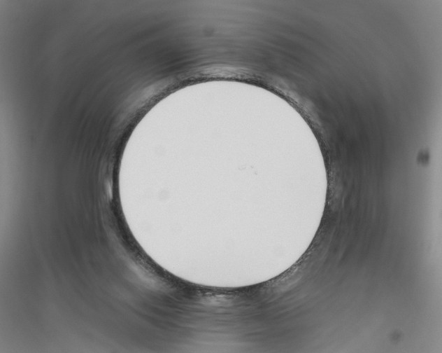 X0000116820062201001291631