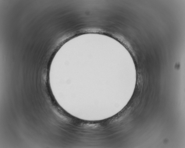 X0000116820063201001291631