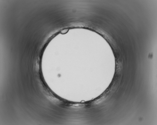 X0000116820064201001291631