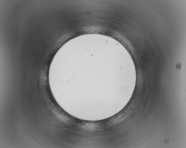 X0000116820065201001291631