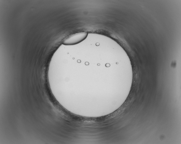 X0000116820066201001291631