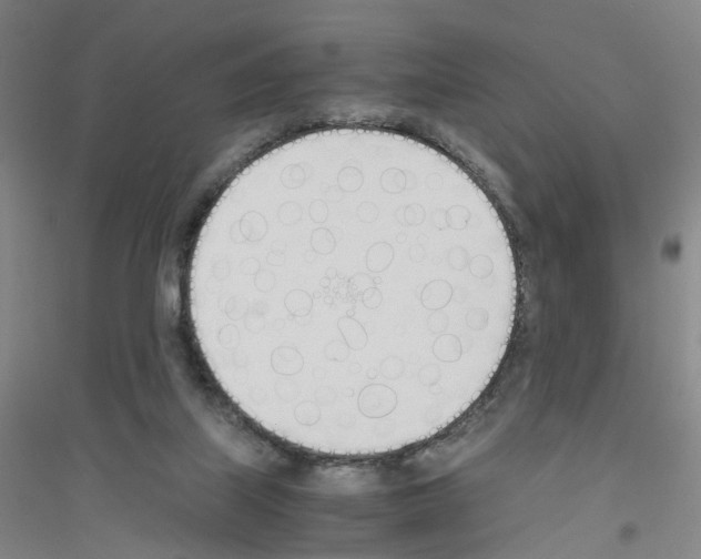 X0000116820067201001291631