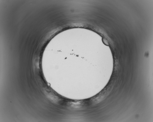 X0000116820068201001291631