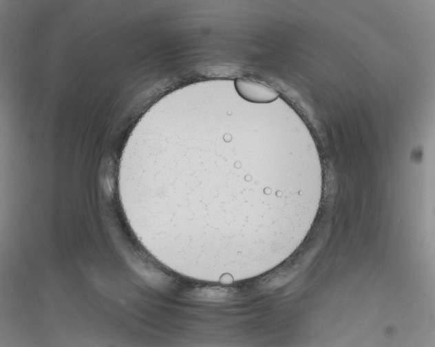 X0000116820069201001291631