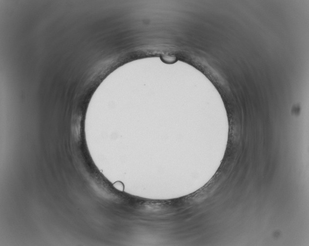 X0000116820070201001291631