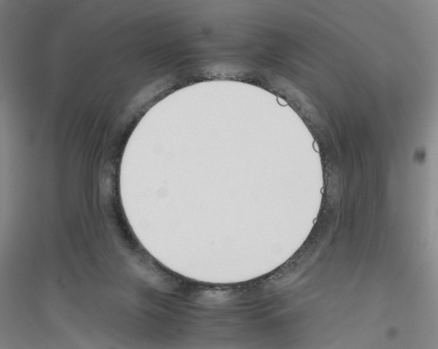 X0000116820071201001291631