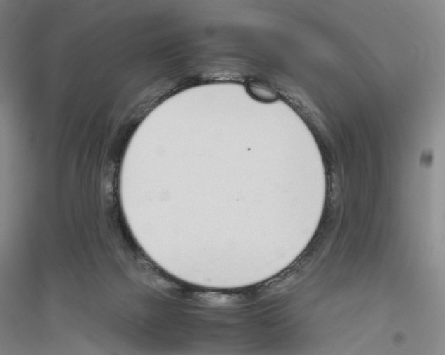 X0000116820073201001291631