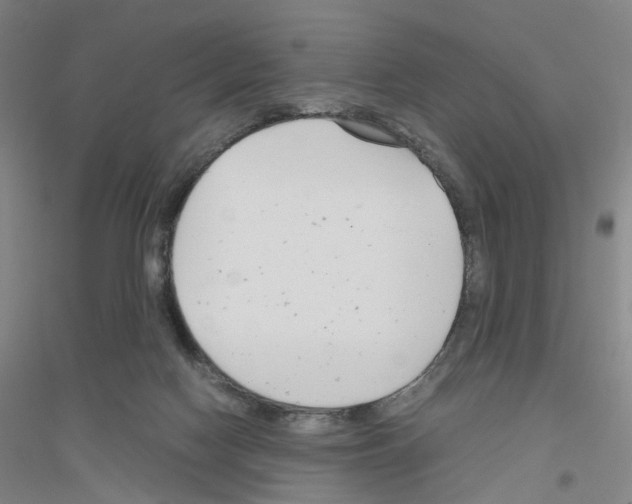 X0000116820074201001291631