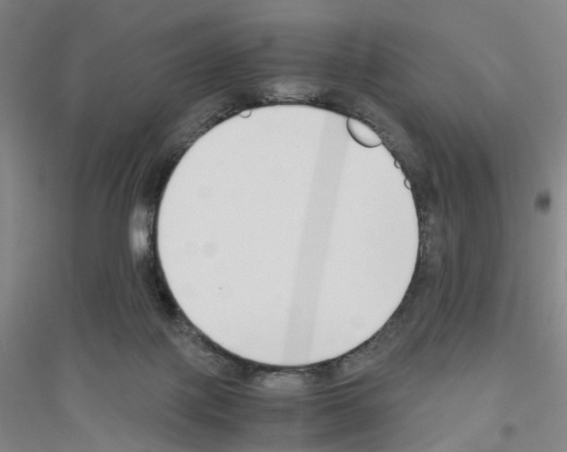 X0000116820075201001291631