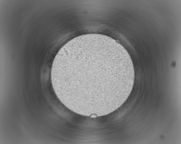 X0000116820076201001291631