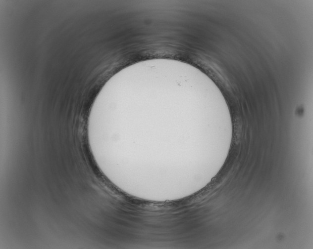 X0000116820077201001291631