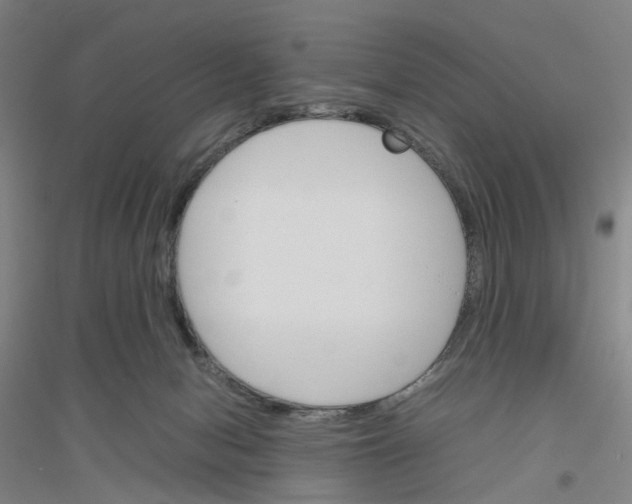 X0000116820078201001291631