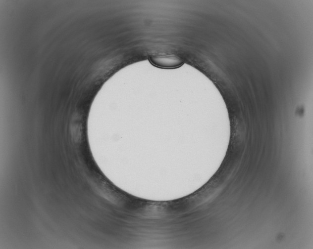 X0000116820080201001291631