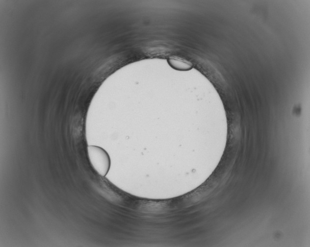 X0000116820081201001291631