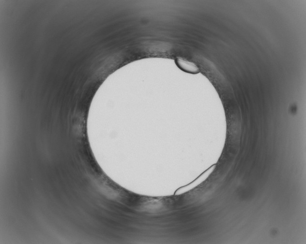 X0000116820083201001291631