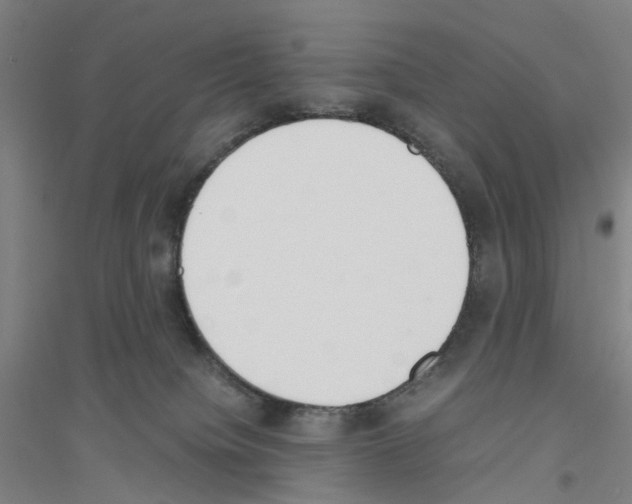 X0000116820084201001291631