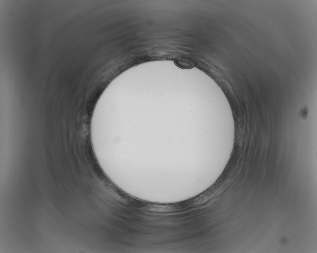 X0000116820085201001291631